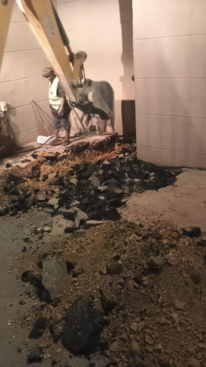 البوليفارد، أعمال خارجية